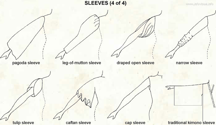 Sleeves 4  (Visual Dictionary)